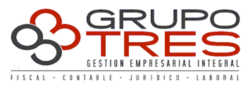Grupo 3 Gestion Empresarial Integral SL
